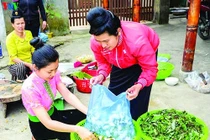 Xuân lên Tây Bắc ăn cả một mùa hoa