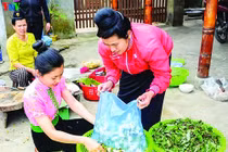 Xuân lên Tây Bắc ăn cả một mùa hoa