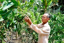 Đến năm 2030, 17% dân số là người cao tuổi