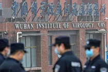 WHO công bố phát hiện mới: Dịch bệnh đã lây lan từ sớm, có 13 chủng virus ở Vũ Hán