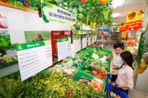 TPHCM công bố đường dây nóng phản ánh đầu cơ, tăng giá