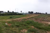 Xây dựng nghị định gia hạn nộp thuế, tiền thuê đất năm 2021