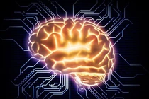 Phát triển mạng thần kinh “nhận thức” như con người