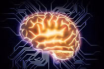 Phát triển mạng thần kinh “nhận thức” như con người