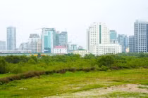 Phạt 1 tỷ đồng nếu phân lô, bán nền đất khi chưa đủ điều kiện