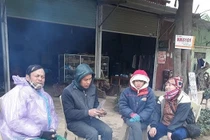 Thấp nhiệt sinh chứng hoàng đản