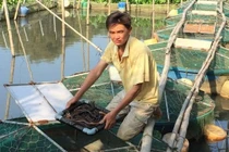 Hậu Giang: Tìm ra thủ phạm gây ô nhiễm sông Cái Lớn