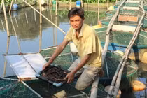 Hậu Giang: Tìm ra thủ phạm gây ô nhiễm sông Cái Lớn