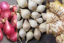 Món ăn phòng trị cảm cúm 