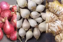 Món ăn phòng trị cảm cúm 