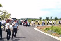 “Cò đất” và một thị trường méo mó