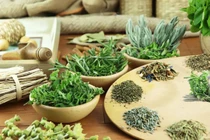 Các phương thuốc dân gian trị liệu tiểu đường