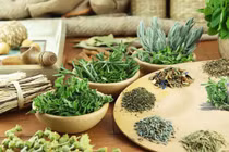 Các phương thuốc dân gian trị liệu tiểu đường