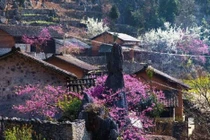 Lào Cai: Khách du lịch dịp Tết Nguyên đán Nhâm Dần 2022 tăng cao