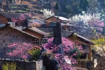 Lào Cai: Khách du lịch dịp Tết Nguyên đán Nhâm Dần 2022 tăng cao