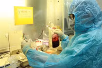 Điều trị bệnh Thalassemia bằng tế bào gốc