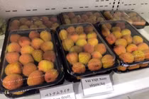 Vải sớm Bắc Giang bán tại Nhật giá 550.000 đồng một kg