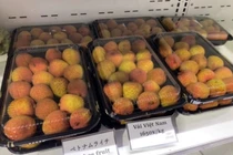 Vải sớm Bắc Giang bán tại Nhật giá 550.000 đồng một kg