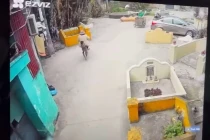 Đã tìm ra phụ nữ thả bé gái 2 tuổi xuống cống nước