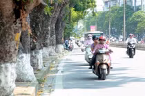 Đề phòng hanh khô