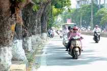 Đề phòng hanh khô