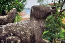 Năm Sửu... nói chuyện trâu!