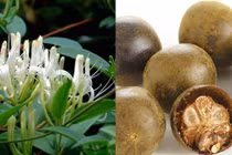 Đã khát, giải nhiệt với thức uống từ thảo mộc