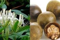 Đã khát, giải nhiệt với thức uống từ thảo mộc