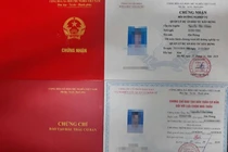 Chứng chỉ đấu thầu, quản lý dự án: Không học, không thi vẫn cấp