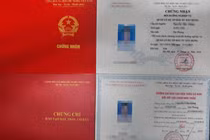 Chứng chỉ đấu thầu, quản lý dự án: Không học, không thi vẫn cấp