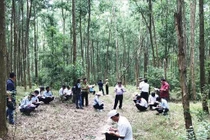 Trồng cây bản địa phục hồi rừng