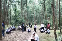 Trồng cây bản địa phục hồi rừng