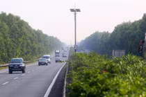 Nguyên tắc trồng cây đường cao tốc