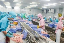 Với Dự thảo mới, doanh nghiệp phải đầu tư cho hệ thống quan trắc tự động mất tới hàng tỷ đồng mỗi một hệ thống, thêm chi phí vận hành từ 40-50 triệu đồng/kỳ quan trắc