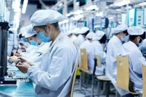 Doanh nghiệp FDI có nguy cơ trốn tránh thuế cao nhất