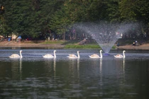 Hà Nội nghiên cứu tổ chức phố đi bộ hồ Thiền Quang