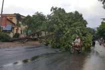 Ứng phó với giông lốc