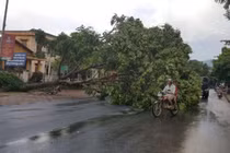 Ứng phó với giông lốc