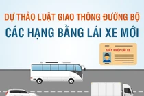 Phân hạng bằng lái xe mới theo Dự thảo Luật Giao thông đường bộ sửa đổi
