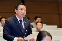 Đại biểu Lưu Bình Nhưỡng: Tách luật giao thông như 'tách mẹ khỏi con, lấy gan ghép thận'