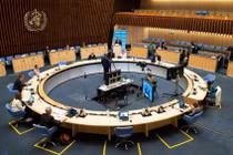 WHO họp khẩn vì hơn 100 ca mắc bệnh đậu khỉ ở châu Âu