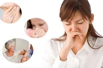 Ho khan, sổ mũi dùng bài thuốc nào?