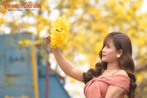 Người dân Hà Nội đang đổ xô đi chụp ảnh với hoa phong linh.