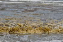 Nước biển không bỗng dưng chuyển màu