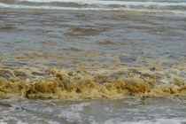 Nước biển không bỗng dưng chuyển màu