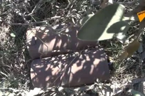 Syria: Gian nan cuộc chiến với bom mìn tự chế của thánh chiến ở Latakia