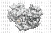 Dược điển 3D điện toán- đột phá trong thiết kế thuốc