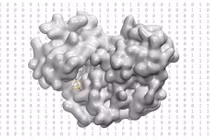 Dược điển 3D điện toán- đột phá trong thiết kế thuốc