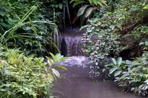 Gần 9 tấn dầu thải đổ vào nguồn nước sông Đà