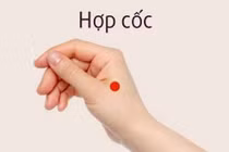 Tác động hợp cốc trị vai cứng đau